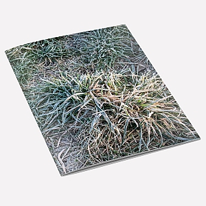 view Frosty Grass Notebook details