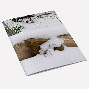 view Snow Fish Notebook details