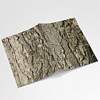 Walnut Tree Bark Notebook