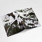 Snow Tree A6 Notebook